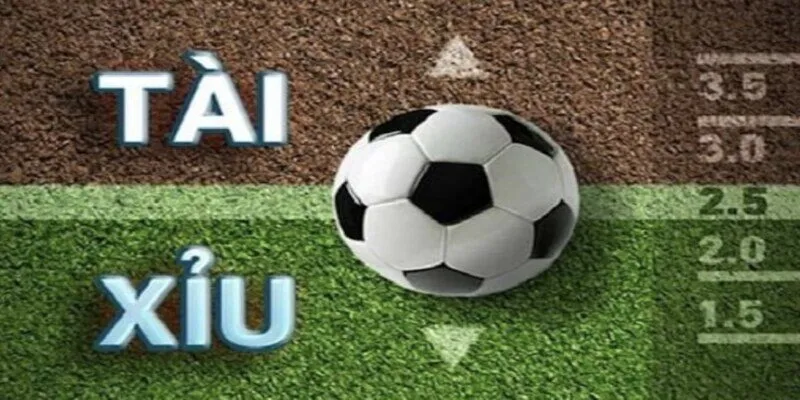 Thống kê lịch sử thi đấu gần nhất trước khi cược